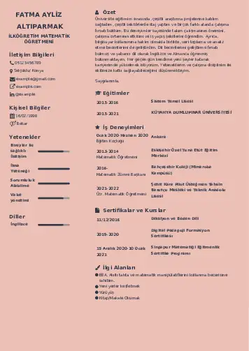 Matematik Öğretmeni Cv Örnekleri cv indir